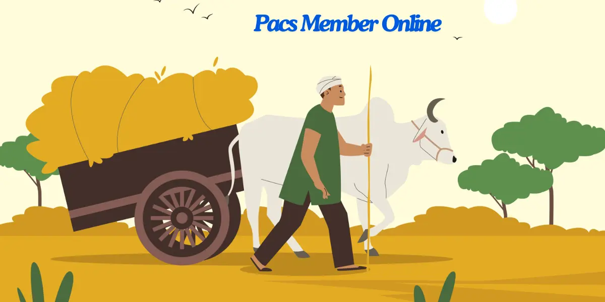 Pacs Member Online