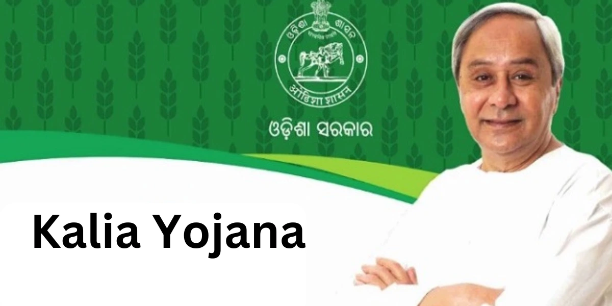 Kalia Yojana